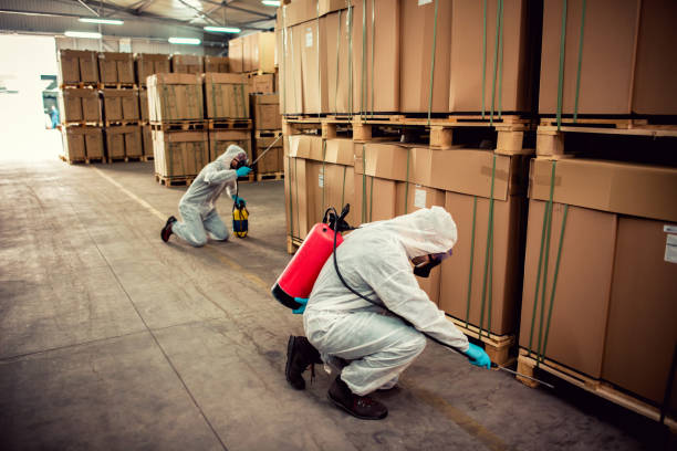 Best Pest Control Near Me  in Pocomoke City, MD