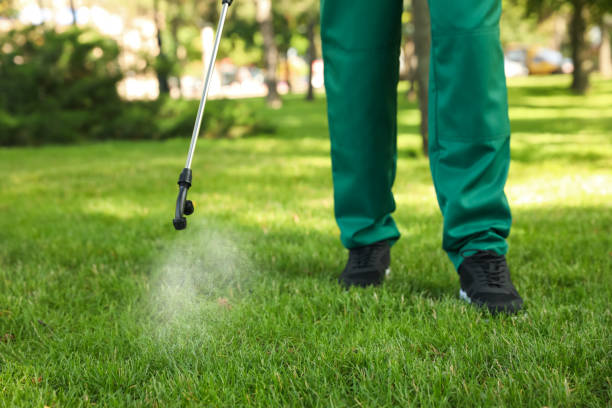Best Pest Prevention Services  in Pocomoke City, MD