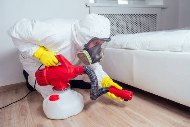 Best Termite Control Services  in Pocomoke City, MD