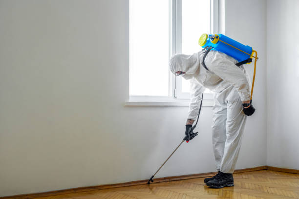 Best Rat Extermination Near Me  in Pocomoke City, MD
