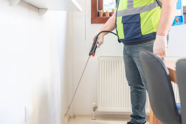 Best Affordable Pest Control Services  in Pocomoke City, MD