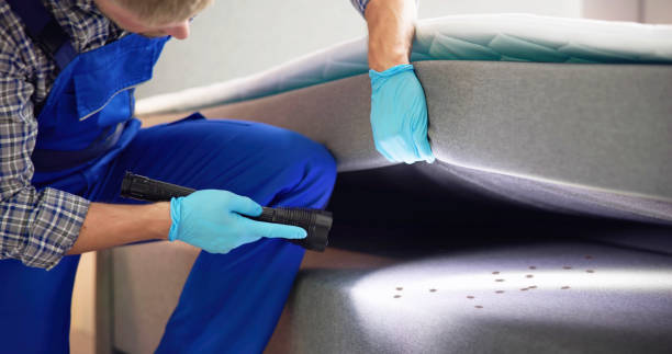 Best Flea Control Services  in Pocomoke City, MD