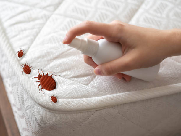 Flea Control Services in Pocomoke City, MD