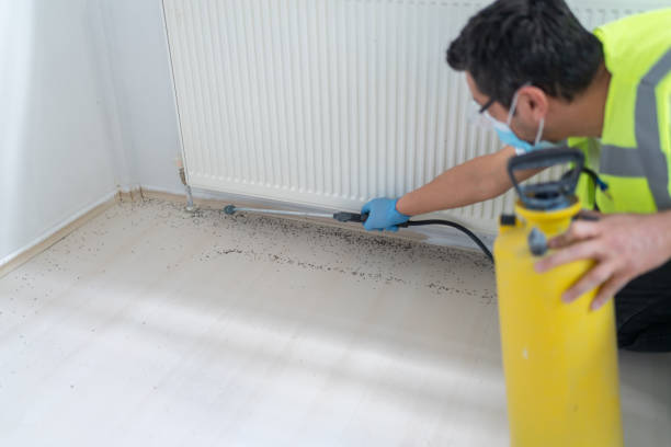 Best Residential Pest Control  in Pocomoke City, MD